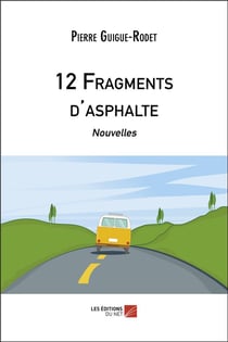 12 fragments d'asphalte