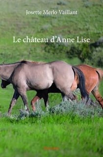 Le château d'anne lise