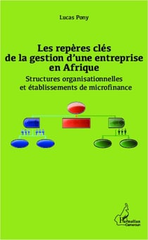 Les repères clés de la gestion d'une entreprise en Afrique - structures organisationnelles et etablissements de microfinance