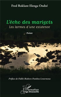 L'écho des marigots - les larmes d'une existence