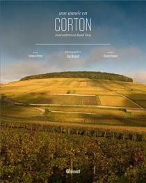 Une année en Corton - rencontres en haut-lieu