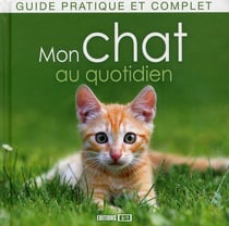 Mon chat au quotidien