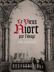 Le vieux Niort par l'image