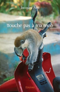 Touche pas a ma mob