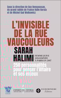 L'invisible de la rue Vaucouleurs : Sarah Halimi. femme juive assassinée à Paris en 2017