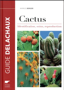 Cactus - identification, soins, reproduction