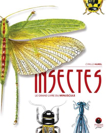 Insectes : Le grand livre du minuscule