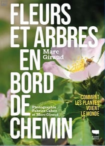Fleurs et arbres en bord de chemin