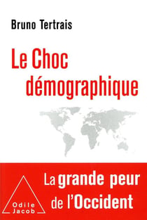 Le choc démographique