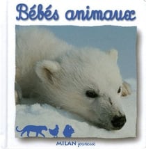 Bebes animaux