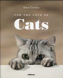 For the love of cats
