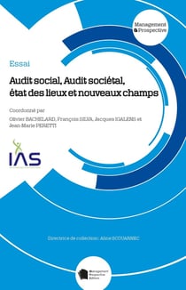 Audit social, Audit sociétal : état des lieux et nouveaux champs
