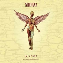 In utero (20th anniversary)