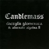 Dactylis glomerata + abstrakt algebra II