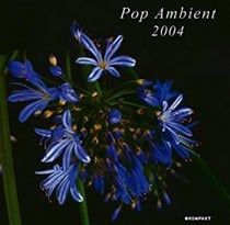 Pop ambient 2004