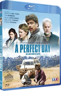 A Perfect Day: un jour comme un autre