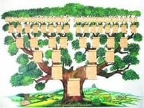 Arbre généalogique - 6 générations