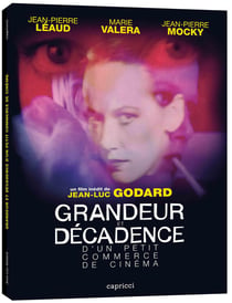 Grandeur et décadence d'un petit commerce de cinéma