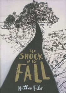 The shock of the fall