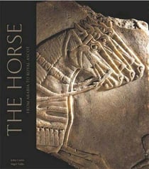 Horses in the middle east and beyond