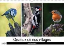 Oiseaux de nos villages en gatinais (calendrier mural 2021 din a3 horizontal) - photographies d'oise