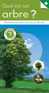 Quel est cet arbre ?
