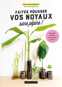 Faites pousser vos noyaux sans pépins ! Mangez, plantez... et regardez pousser !