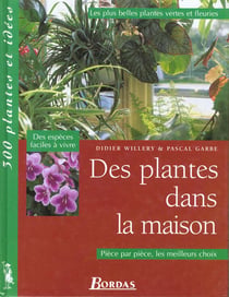Des plantes dans la maison