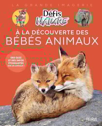 A la découverte des bébés animaux