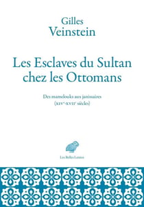 Les esclaves du sultan