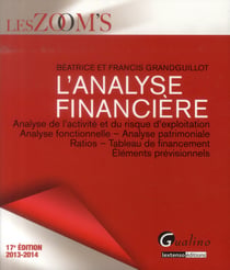 L'analyse financière (17e édition)
