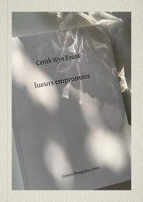 Cerith Wyn Evans : lueurs empruntees