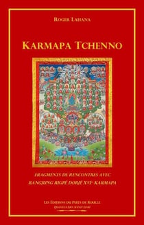 Karmapa Tchenno : fragments de rencontres avec Rangjung Rigpe Dorje XVIe Karmapa