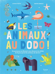 Les animaux, au dodo ! du paresseux au flamant rose, découvre les drôles de façons qu'ont les animaux de dormir !