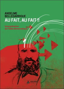 Au fait, au fait ! interpretation de l'idee democratique