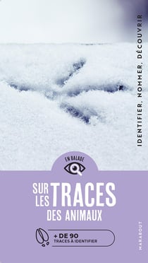 En balade : sur les traces des animaux