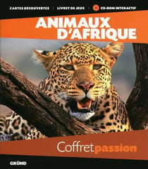 Animaux d'afrique