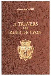 A travers les rues de lyon.