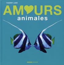 Sexe - amours animales
