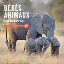 Calendrier mural : Bébés animaux (édition 2026)
