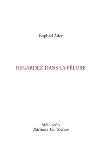 Regardez dans la fêlure