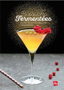 Boissons fermentées - du kéfir au kombucha