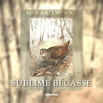 Sublime becasse