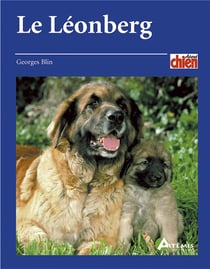 Le léonberg