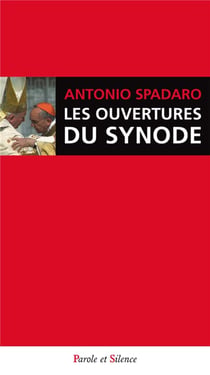 Les ouvertures du synode