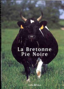 La bretonne pie noire