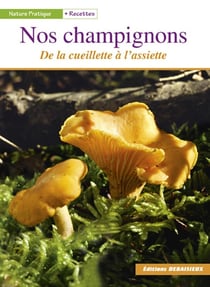 Nos champignons - de la cueillette a l'assiette
