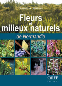 Fleurs et milieux naturels de normandie