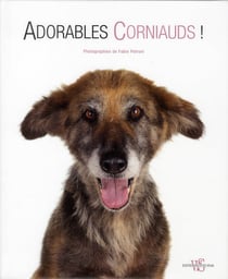 Adorables corniauds !