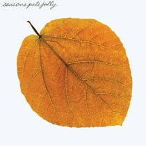 Seasons - édition colorée